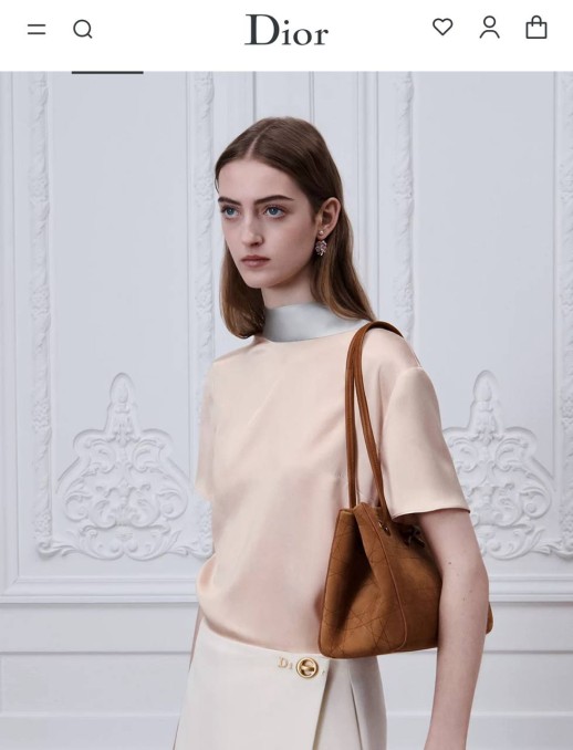 Сумка Dior 33444