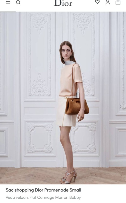 Сумка Dior 33444