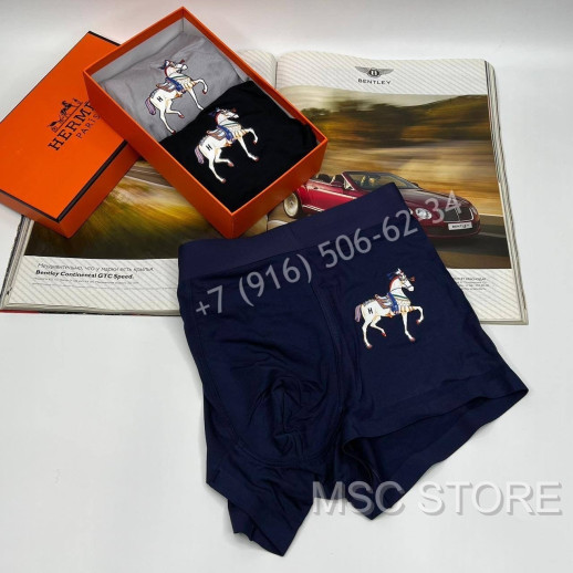 Нижнее Белье Hermes 8490