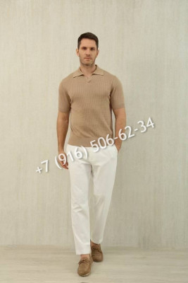 Поло Loro Piana 10236 5