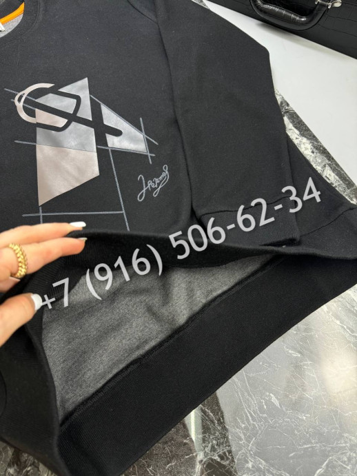 Толстовка Hermes 8861 2