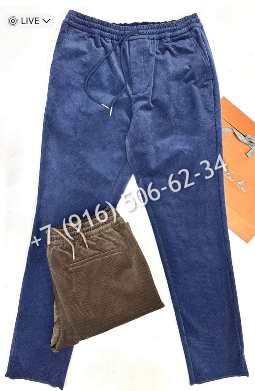 Брюки Loro Piana 31424 1