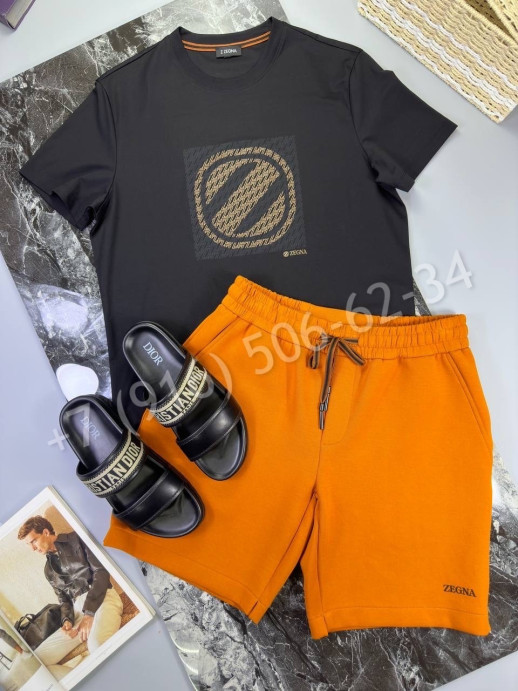 Футболка Zegna 18451