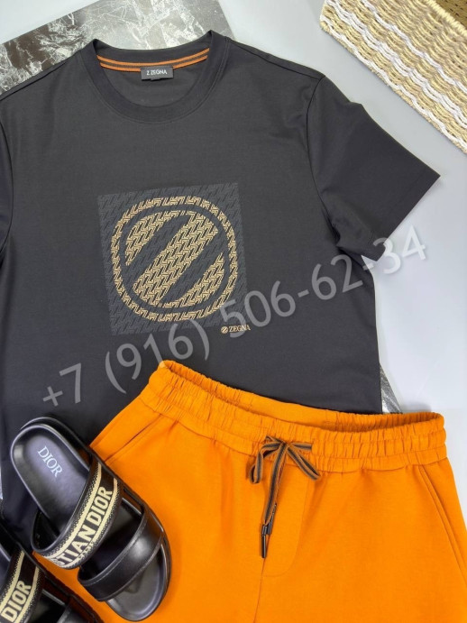 Футболка Zegna 18451