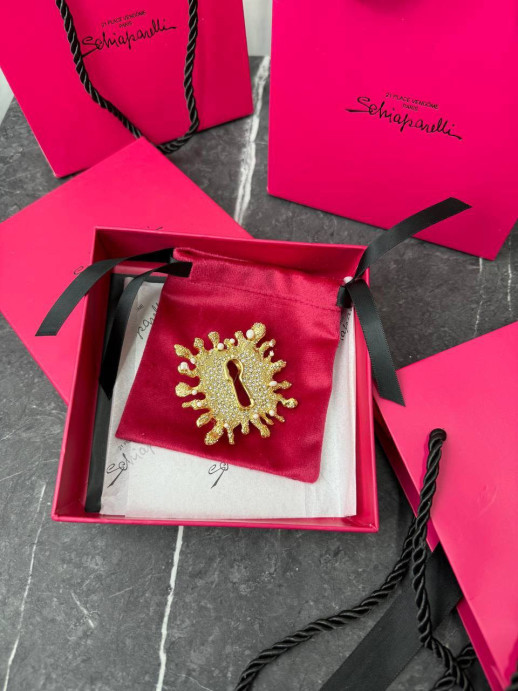 Брошь SCHIAPARELLI 34700