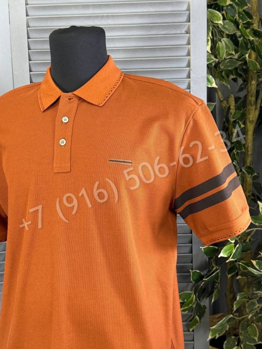 Поло Zegna 27331