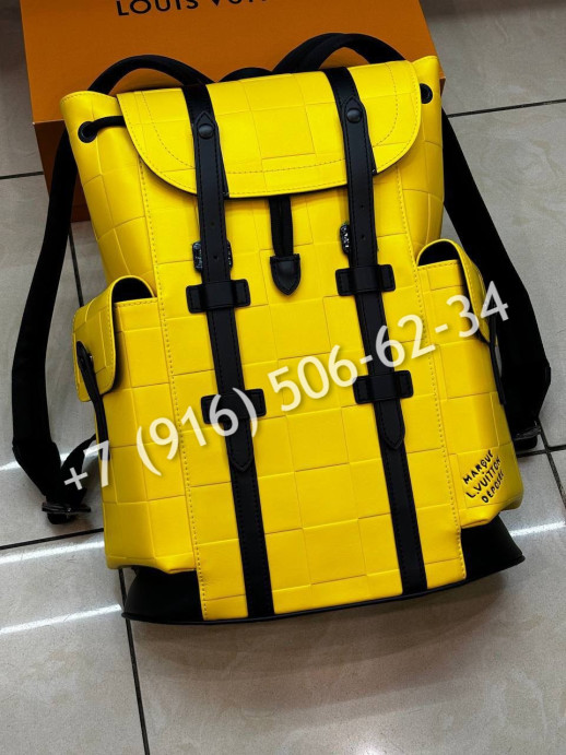 Рюкзак Louis Vuitton 25225 2