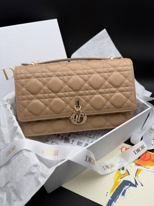 Сумка Dior 33436 1