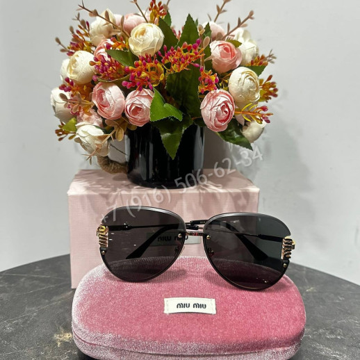 Очки Miu Miu 33327