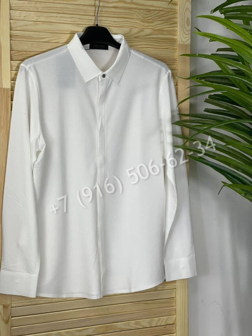 Рубашка Zegna 6598