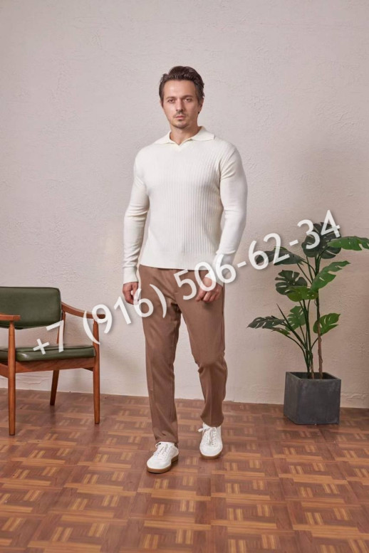 Поло Loro Piana 34553 1