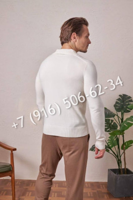 Поло Loro Piana 34553 1