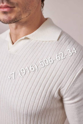 Поло Loro Piana 34553 1