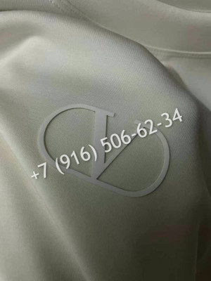 Толстовка Valentino 24615 2
