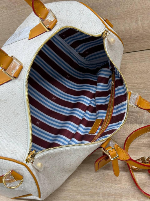 Сумка Louis Vuitton 25964 1