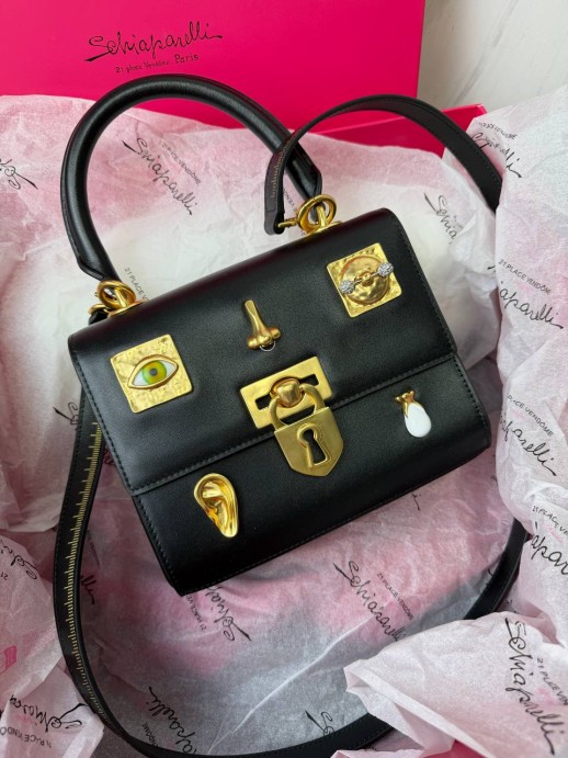 Сумка Schiaparelli 346609