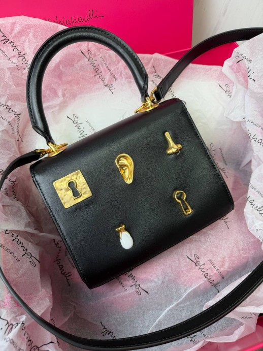 Сумка Schiaparelli 346609