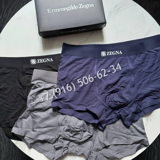 Трусы Zegna 8802 1