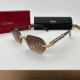 Очки Cartier 30642