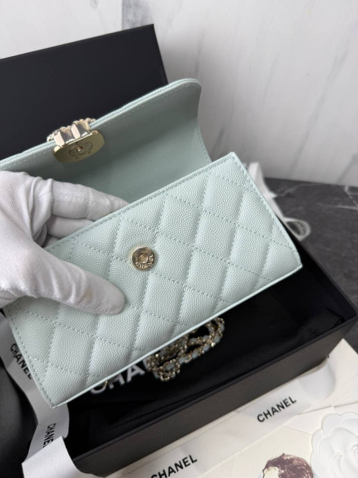 Сумка Chanel 34877