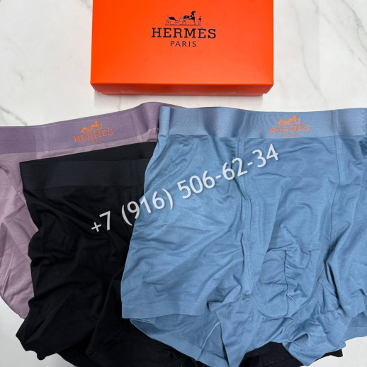 Трусы Hermes 32147 1