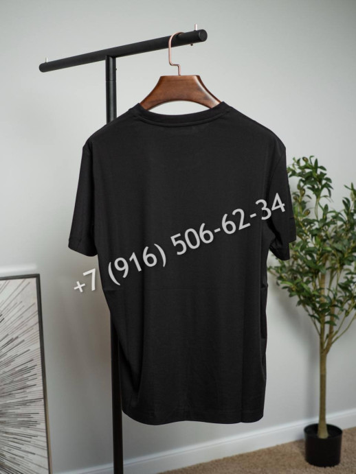 Футболка Loro Piana 26005 5