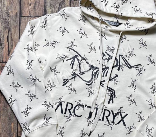 Толстовка ARCTERYX 22979