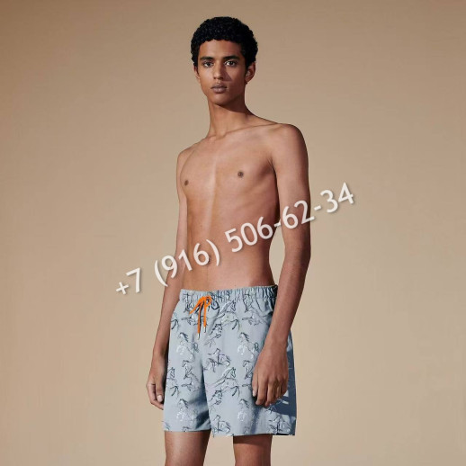 Плавательные шорты Hermes 13553 8