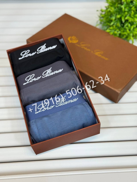 Нижнее Белье Loro Piana 15677 4