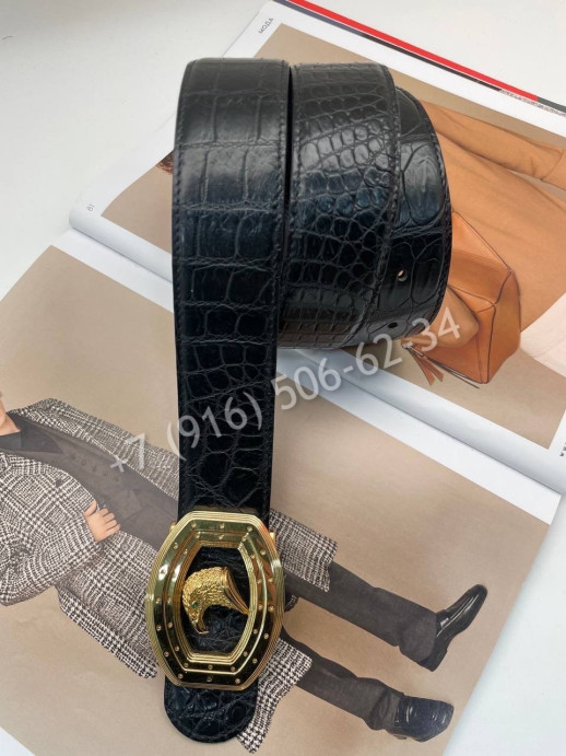 Ремень из кожи крокодила Stefano Ricci 7572