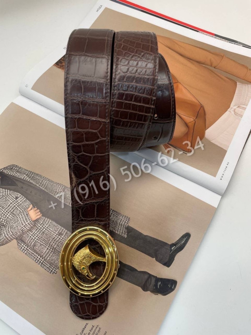 Ремень из кожи крокодила Stefano Ricci 7573