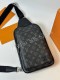 Сумка Louis Vuitton 22449