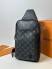Сумка Louis Vuitton 22449