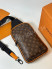 Сумка Louis Vuitton 22450