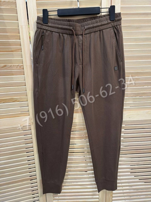 Спортивные штаны Zegna 18171