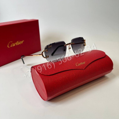 Очки Cartier 19013