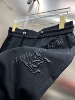 Спортивные штаны Louis Vuitton 14103