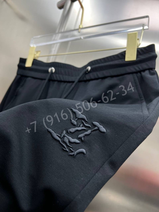Спортивные штаны Louis Vuitton 14103