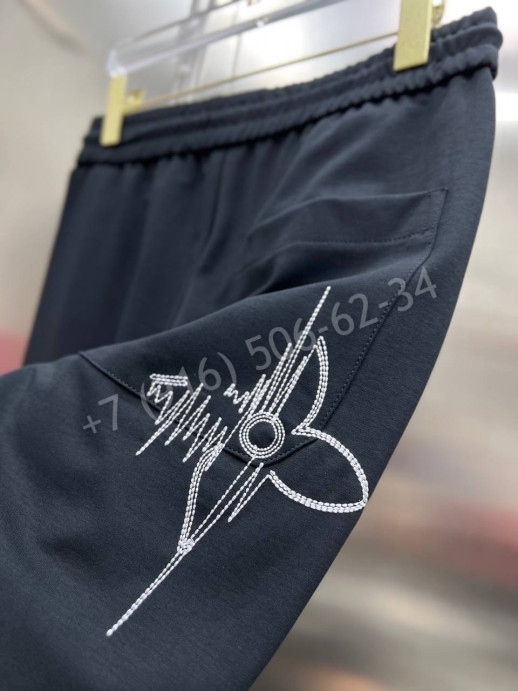 Спортивные штаны Louis Vuitton 14104