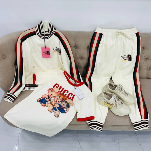 Костюм The North Face 12889