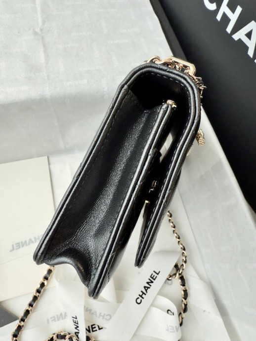 Сумка Chanel 10621