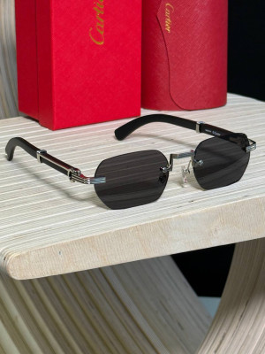 Очки Cartier 19018 2