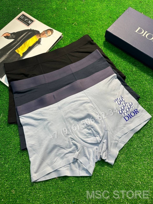 Нижнее Белье Dior 9436