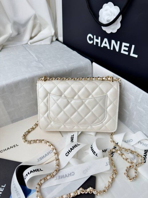 Сумка Chanel 10621 1