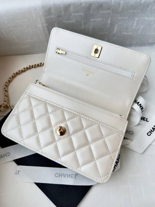 Сумка Chanel 10621 1