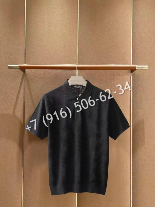 Поло Loro Piana 10241 2