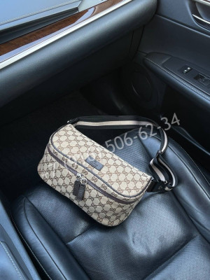 Поясная сумка Gucci 6493