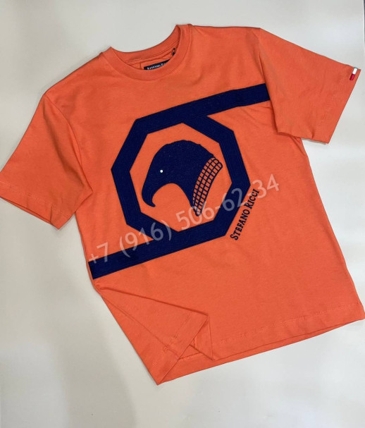 Футболка Stefano Ricci 33667