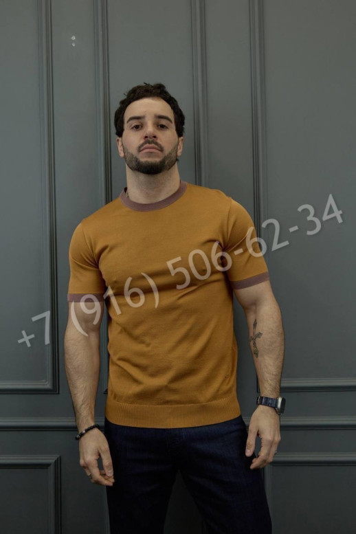 Поло Loro Piana 28965