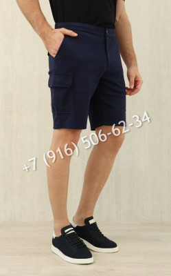 Шорты Zegna 17319 1